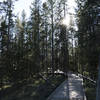 Two Ribbons Trail entering the trees on west side of loop.