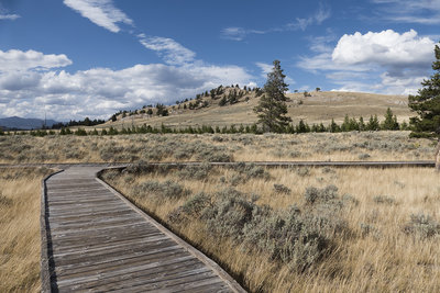 View from Forces of the Northern Range self-guided trail