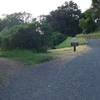 The Meadow Trail cuts off to the right as the private drive continues straight ahead.