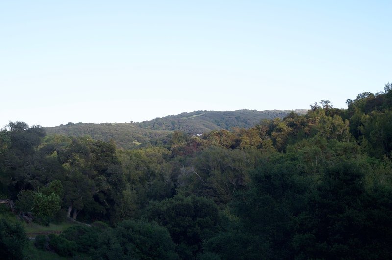 Views of the surrounding hills.