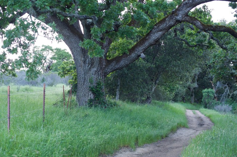 The trail follows private property for a short distance.