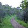 The trail as it runs along the hillside.