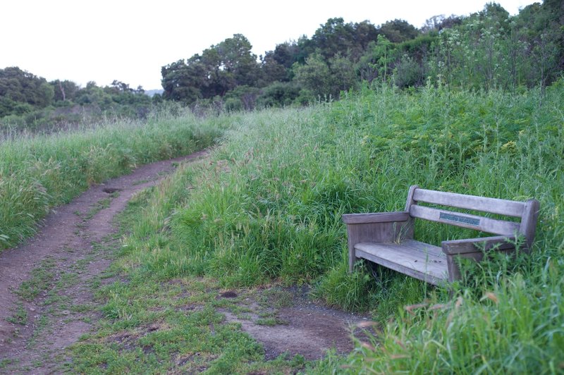 A bench sits beside the trail allowing you to enjoy the views.