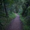 The trail descends from the Spring Ridge Trail.