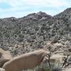 The trail makes its way through the landscape.  There is a lack of shade, so make sure you bring plenty of water and sunscreen.