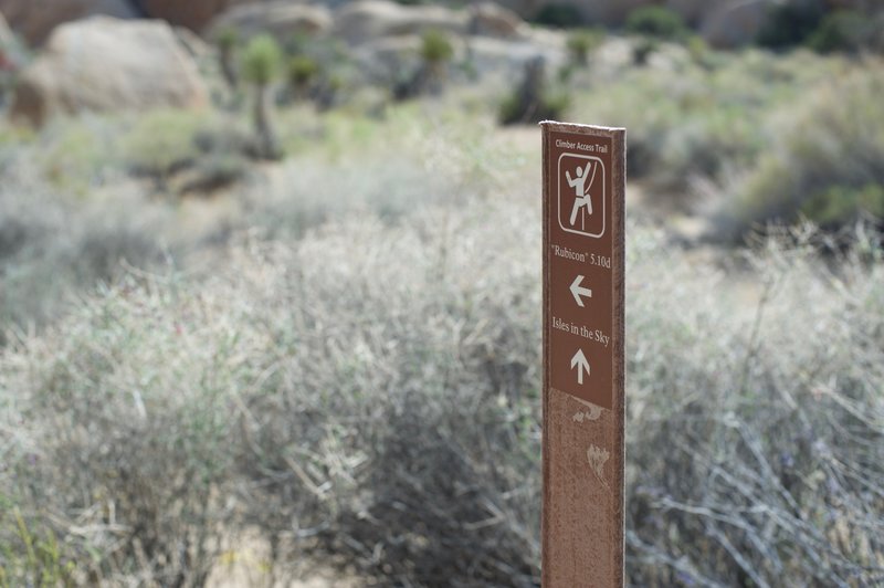 Various climber access trails break off from the loop trail through this area.