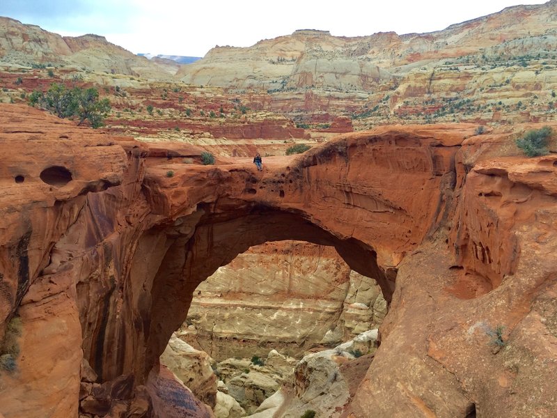 Reaching the top and a full view of Cassidy Arch.