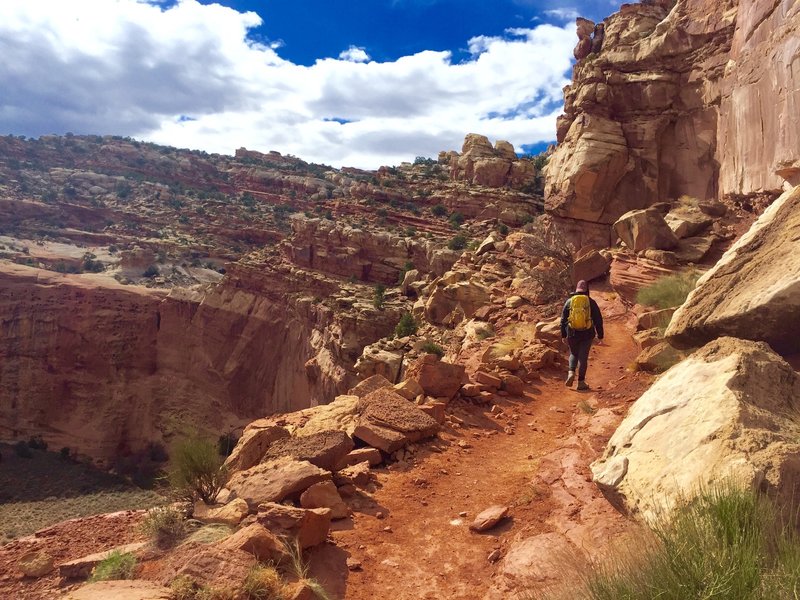 The trail skirting along the canyon rim on the way to Cassidy Arch.