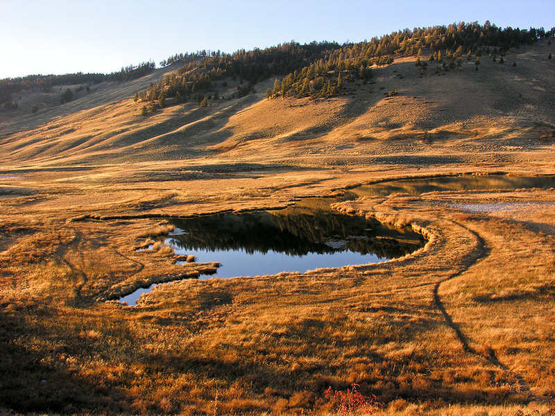 Blacktail Ponds. Late October sunset. with permission from Ralph Maughan