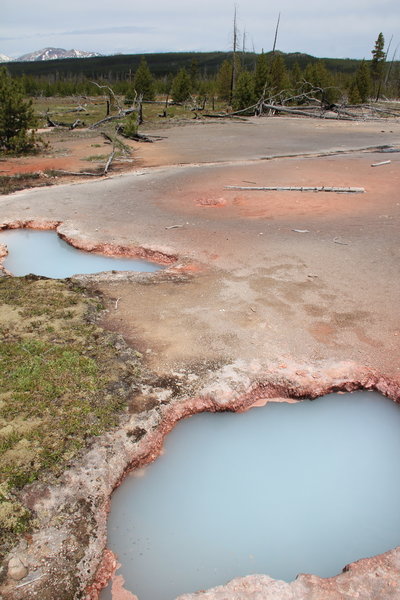 Some of the colors of the Artist's Paintpot.