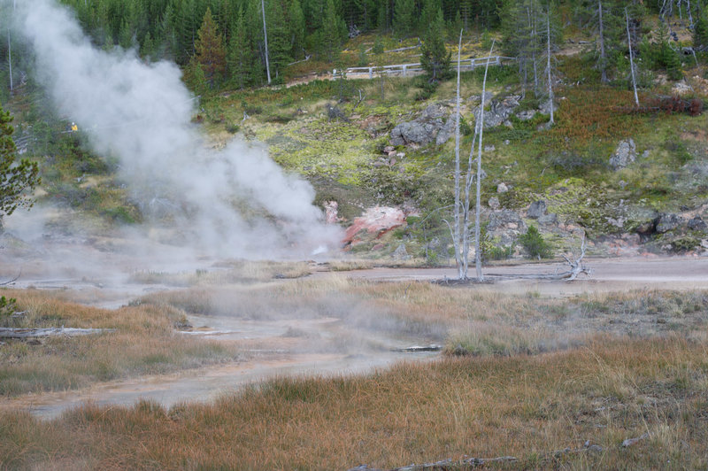 Though it's better to view the pots from above, the steam signals the presence of geothermal activity.