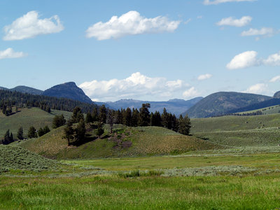 The open valley near the Stagecoach Road Trail.