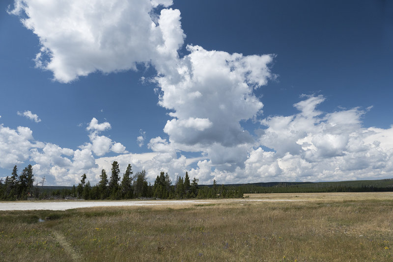 View of Imperial Meadows about 100 yards from the old freight road.