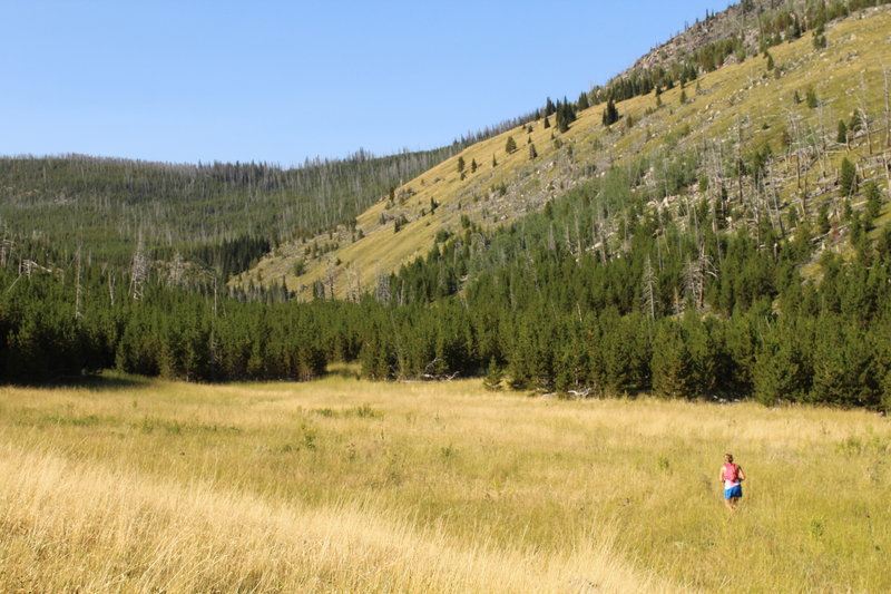 Running up McClellan Creek Trail on the HURL Elkhorn 50M/50K course.