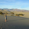 Exploring the dunes.