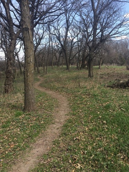 Great singletrack through at Whiterock Conservancy around the campground.