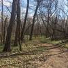 Smooth trail through the trees in Iowa!