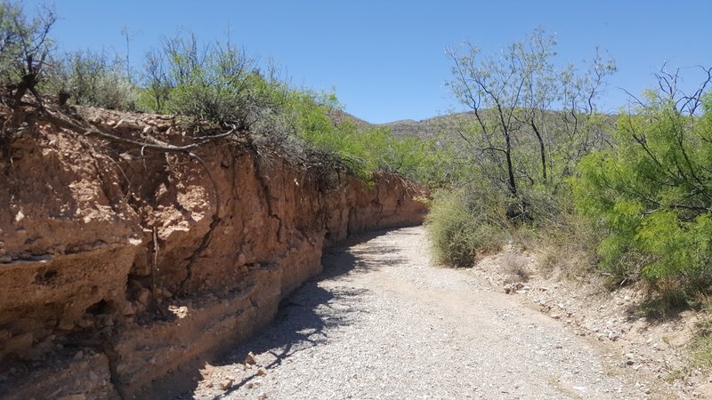 Deep arroyo cuts.