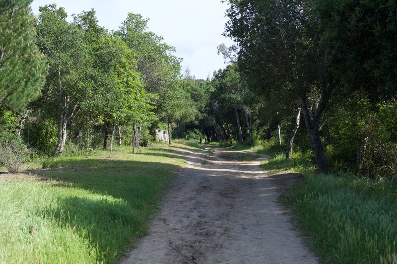 The Spring Ridge Trail makes its was along the edge of the preserve.