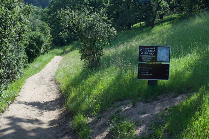 The trail begins to descend toward the creek. It can be closed due to rain and weather damage.