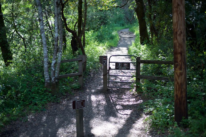 The Hamms Gulch Trail re-enters the preserve as it begins climbing away from the creek.