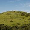 The Anniversary Trail makes its way up Windy Hill.