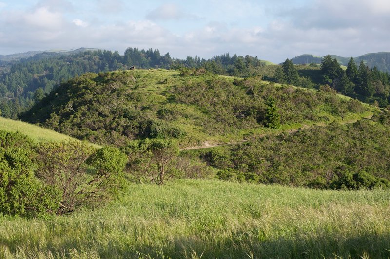 Views of a couple resting on a bench on one of the hills at the top of the preserve.