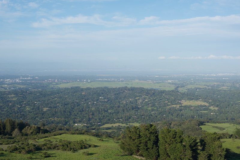 Stanford Dish area and the San Francisco Bay beyond on a hazy day from the summit of Windy Hill.