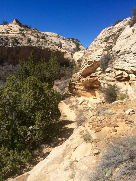 View of the falls from the trail.