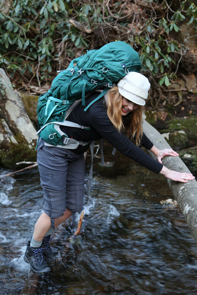 Water crossing on Goshen Prong off of Little River Trail, Rocks and a fallen tree handrail make it an easy crossing.