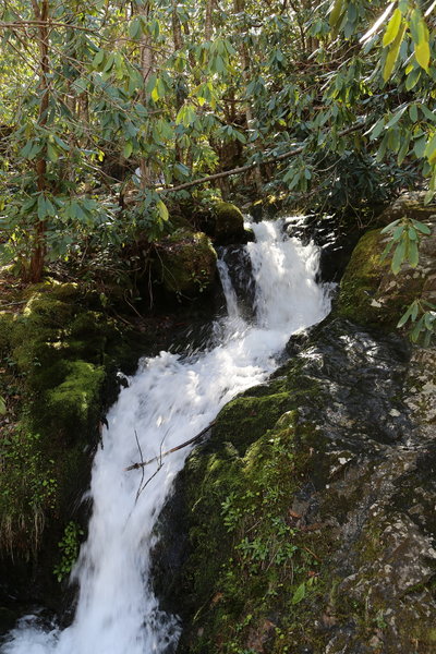 Husky Branch Falls. A nice bench awaits.