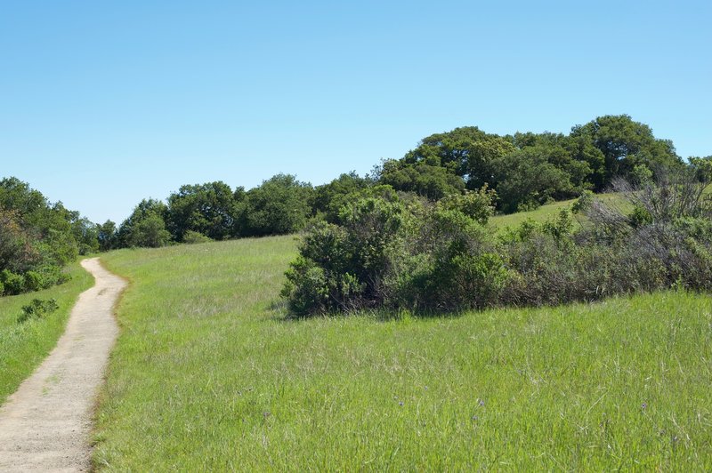 The trail as it moves toward the woods is relatively open and exposed.