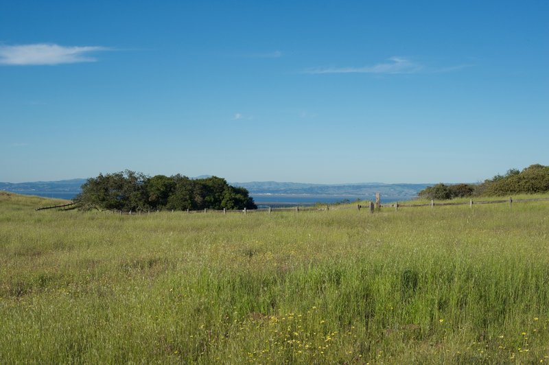 Views of San Francisco Bay are off to the right hand side of the trail.