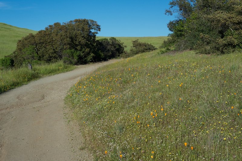 The trail as it descends along  the preserve.