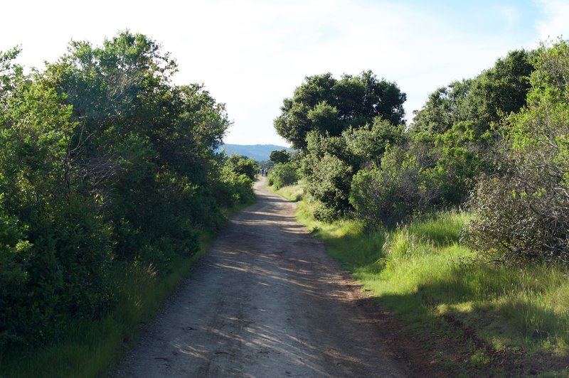 The trail enters a corridor of small shrubs and trees that block the views, but provide adequate shade at various times in the day.