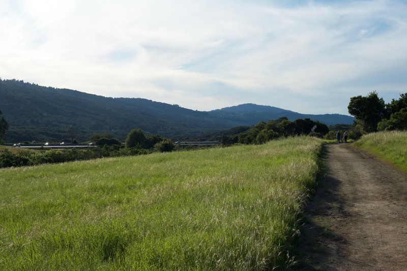 Interstate 280 comes into view as the trail approaches its terminus at the Edgewood Trail.