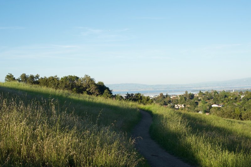 The trail hugs the hillside as it works its way through the preserve.  Deer, turkeys, and other animals can be seen feeding in the fields in the evening.