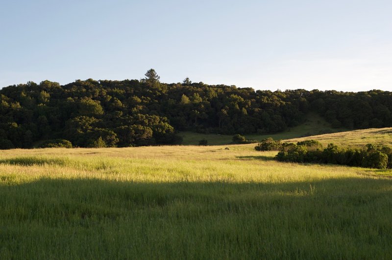 The fields light up in the evening as the sun sets.