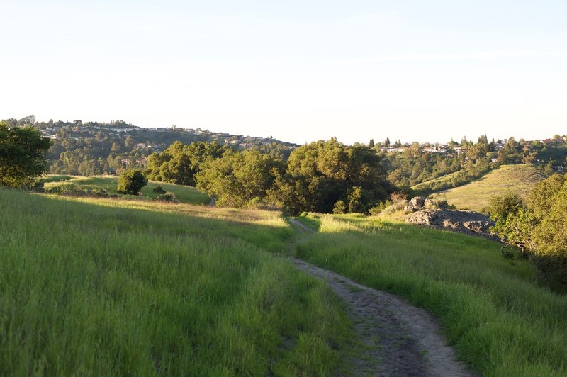 The trail descends toward the Old Stage Road Trail.  The trail is rougher through this part of the trail.