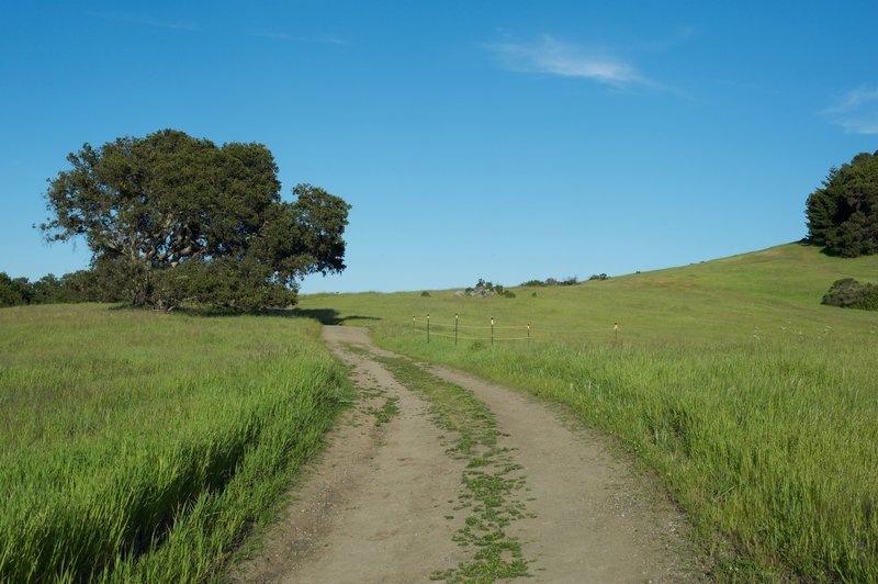 The trail begins as a doubletrack trail before it narrows later on.