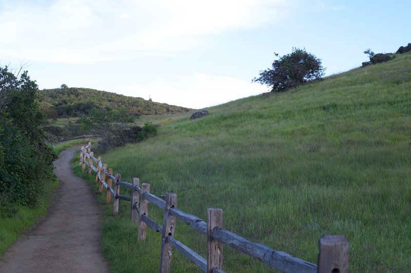 The trail breaks to the right and climbs the hillside.