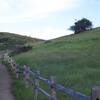 The trail breaks to the right and climbs the hillside.