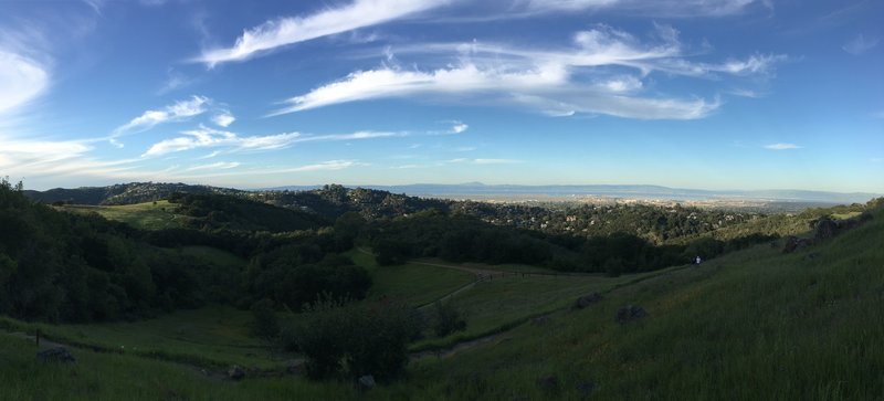 Views of the Serpentine Trail and Sylvan Trail work their way through the preserve as the San Francisco Bay sits in the background.