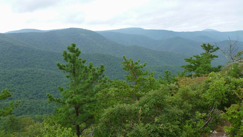 Looking out from the Brown Mountain Trail.