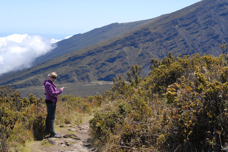 Discoveries along the Halemau'u Trail.