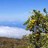 Haleakala National Park