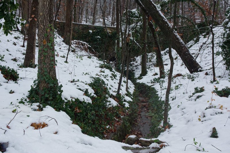 A small creek wanders just off trail.