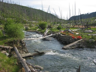 Looking up Tower Creek drainage where Tower Creek Trail crosses the creek.