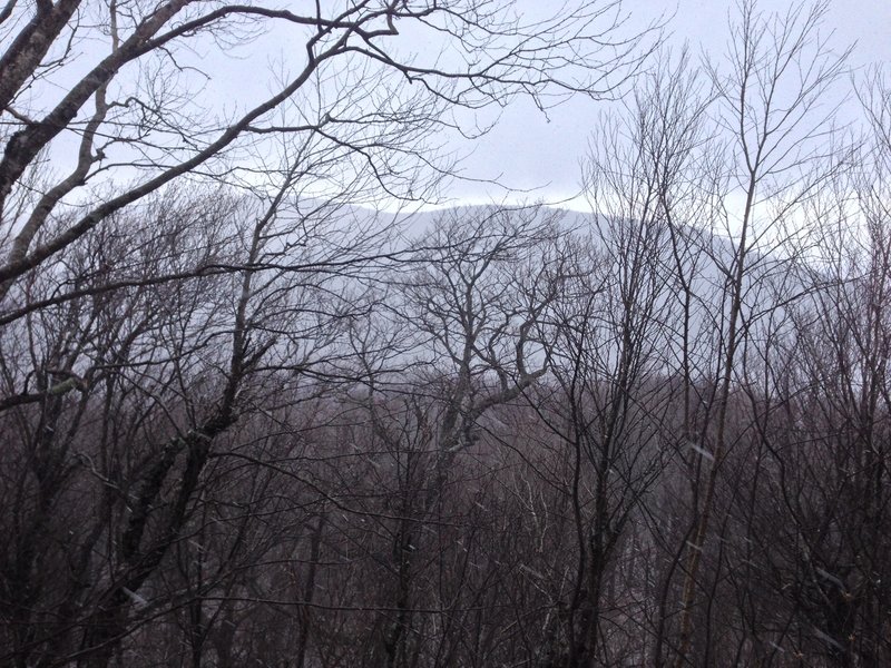 View of Slide Mountain.