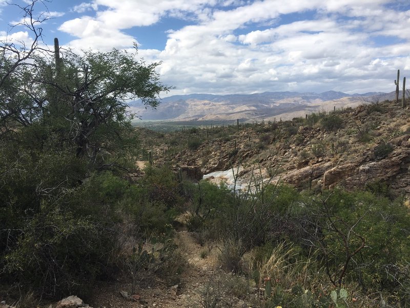 Looking back down on a great place to sit on the slick rock and relax, eat a bit and enjoy the quiet and views. About 100 yds before the end of Wildhorse trail. Nice view of Tanque Verde Valley, the Ironwood trees, catclaw, as well as Prickey Pear, Ocotillo and rock outcroppings